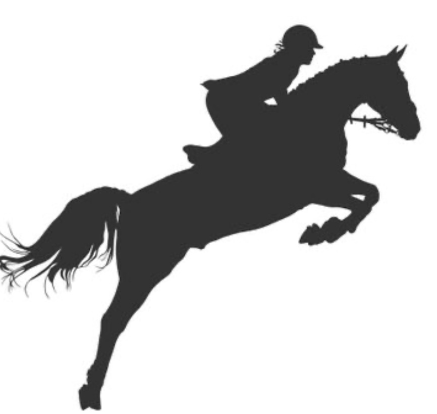 Taloubet Z